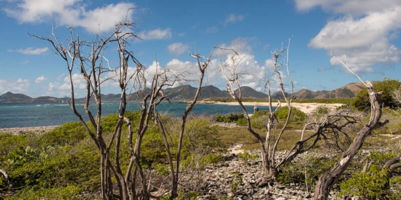 Ile Tintamarre, Réserve naturelle nationale de Saint Martin