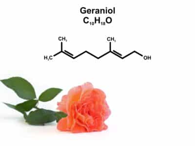 Formule structurelle de géraniol et d'une fleur orange