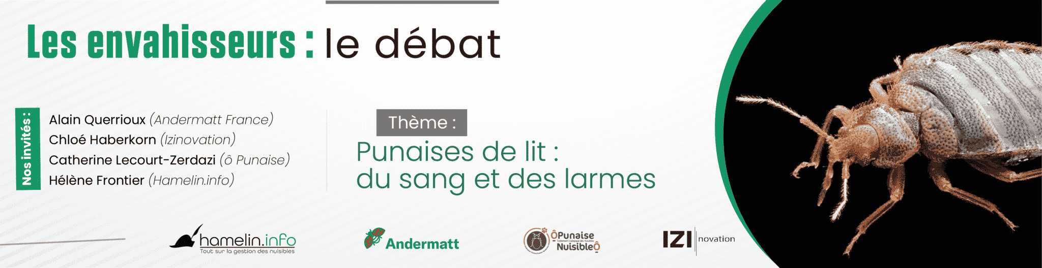 Bannière podcast punaise de lit hamelin