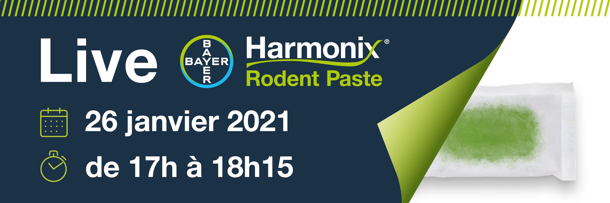 infos sur le live Harmonix Rodent Paste