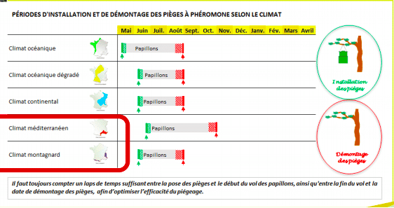 Périodes pour installer les pièges à papillons