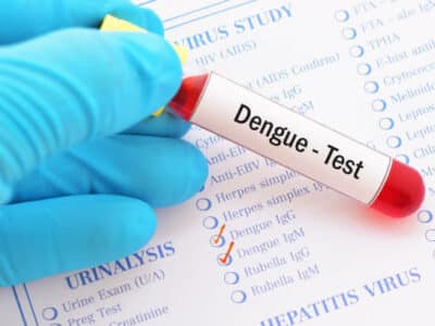 Cas de dengue en France : que faut-il savoir ?