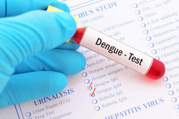Cas de dengue en France : que faut-il savoir ?