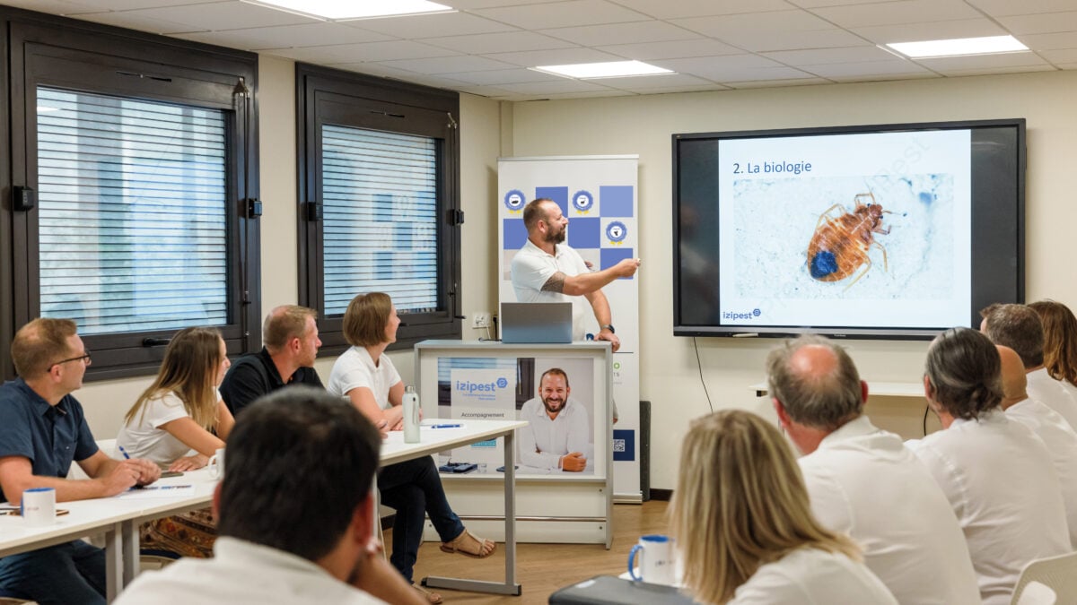 formation espèces envahissantes