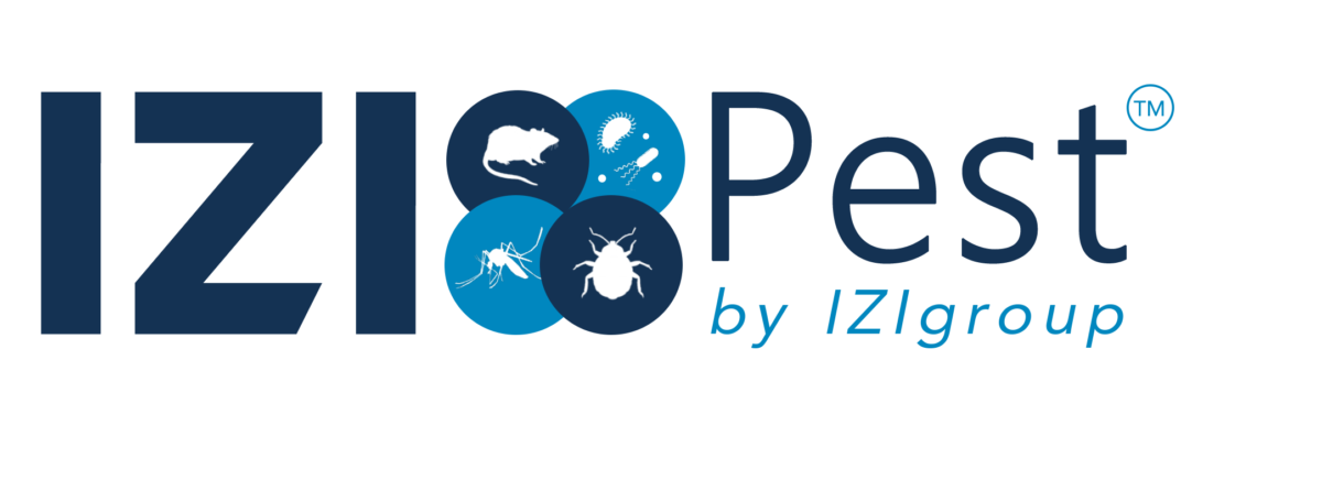 Logo Izi Pest