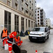 Appel d’offres en gestion des nuisibles