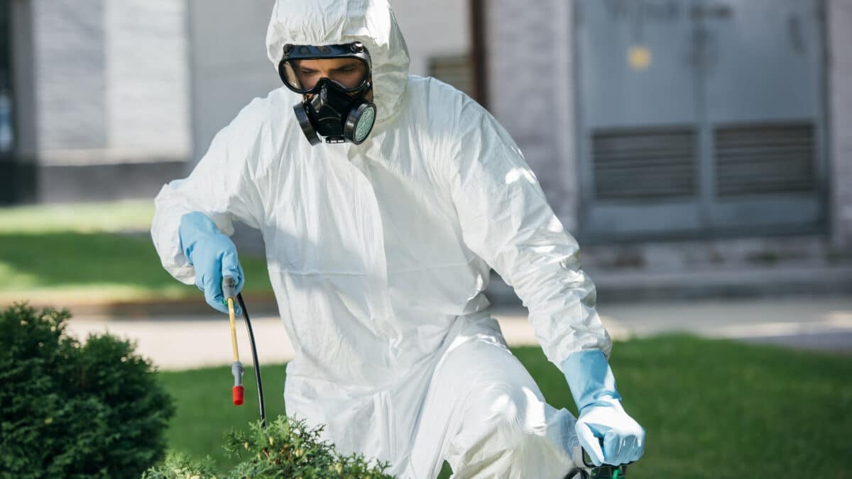 Matériel dératisation débutant