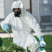 Matériel dératisation débutant