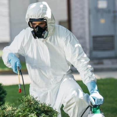 Matériel dératisation débutant