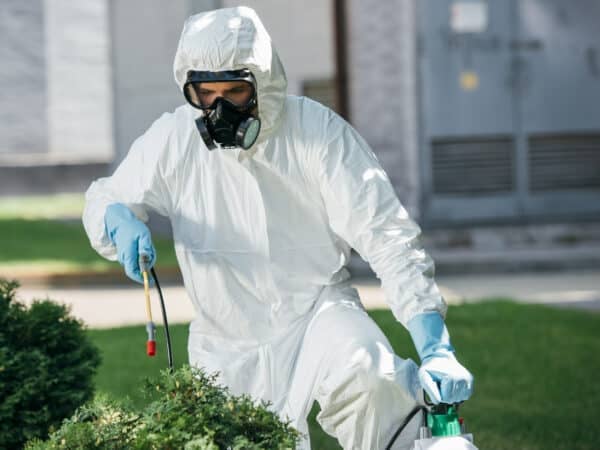 Matériel dératisation débutant