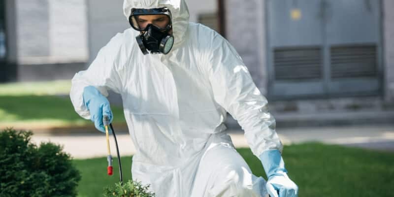 Matériel dératisation débutant