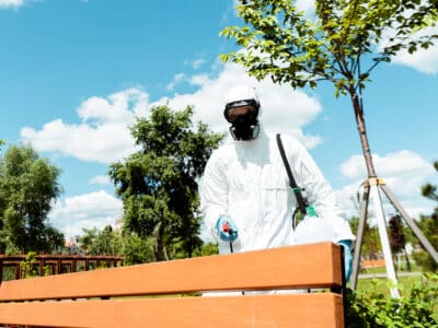 canicule et technicien hygiéniste
