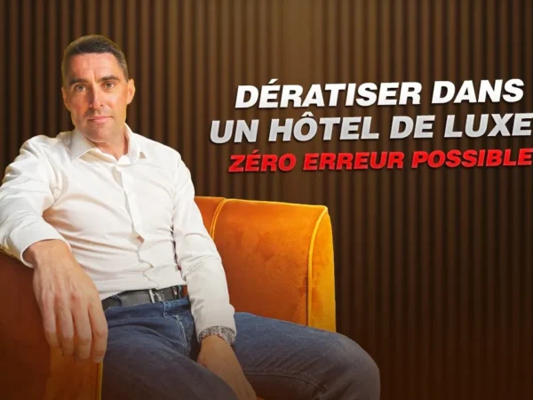 Dératisation dans les hôtels