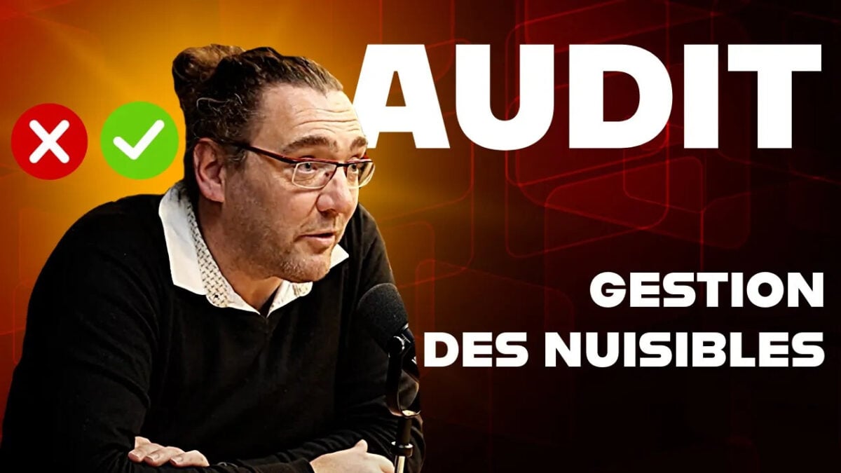 L’audit en gestion des nuisibles