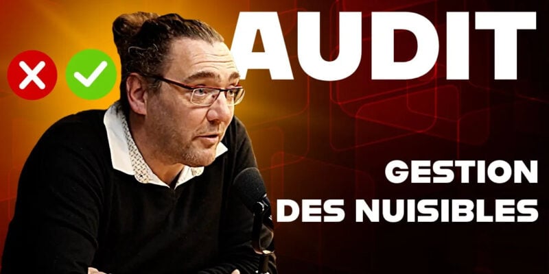 L’audit en gestion des nuisibles