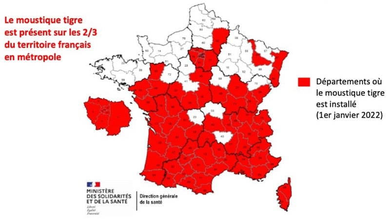 Infographie montrant carte du moustique tigre