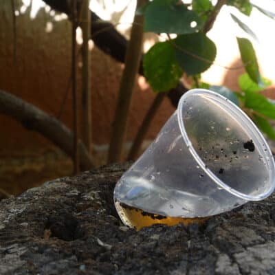 vue rapprochée d'un verre en plastique abandonné avec de l'eau stagnante à l'intérieur. moustiques dans les gîtes larvaires potentiels. transmission de maladies prolifération d'aedes albopictus, dengue, chikungunya, virus zika