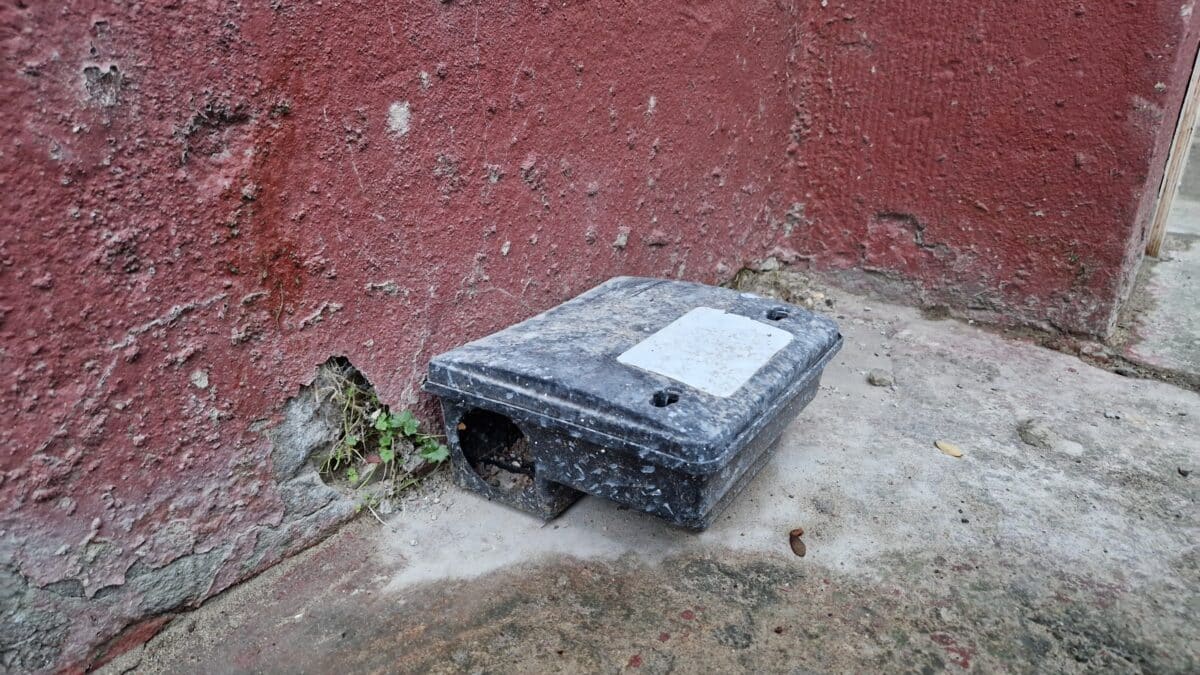 Poste d'appâtage sale sur el sol