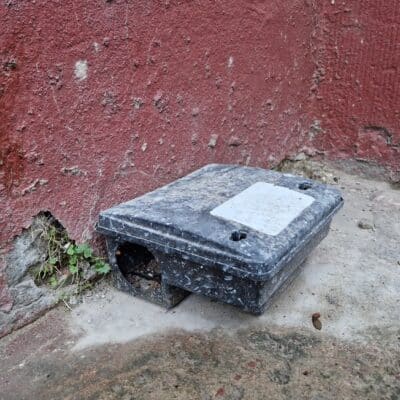 Poste d'appâtage sale sur el sol