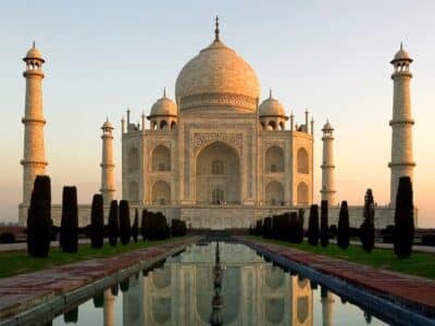 Gestion des nuisibles à Kolkata
