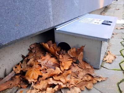 Lutte antiparasitaire à l'extérieur avec un piège à rats contenant un appât