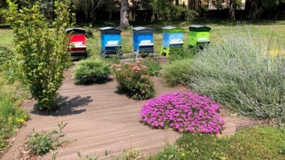 biodiversité urbaine et nuisibles en ville