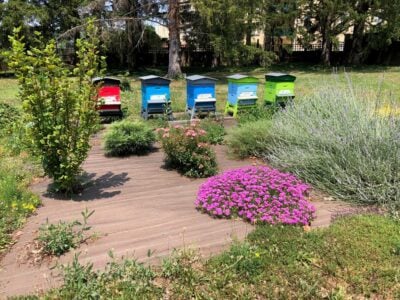 biodiversité urbaine et nuisibles en ville