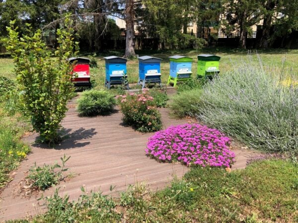 biodiversité urbaine et nuisibles en ville