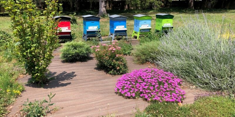 biodiversité urbaine et nuisibles en ville