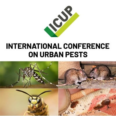 ICUP logo avec photo de souris, frelon, moustique et cafard