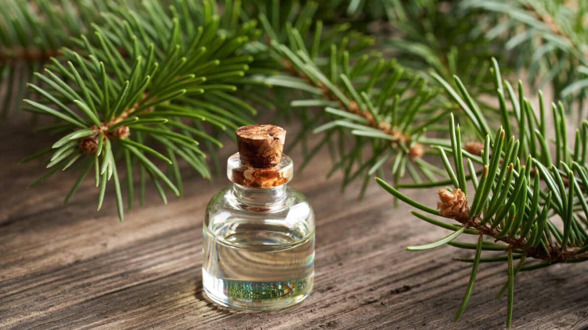 Une bouteille d'huile essentielle sur du bois d’épicéa