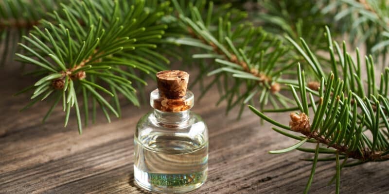 Une bouteille d'huile essentielle sur du bois d’épicéa