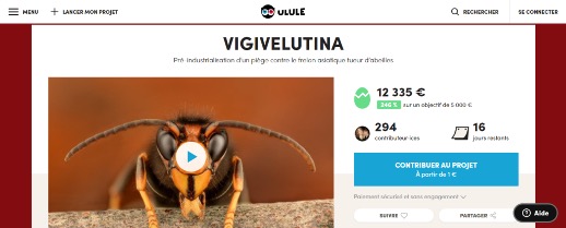 ulule vigivelutina frelon