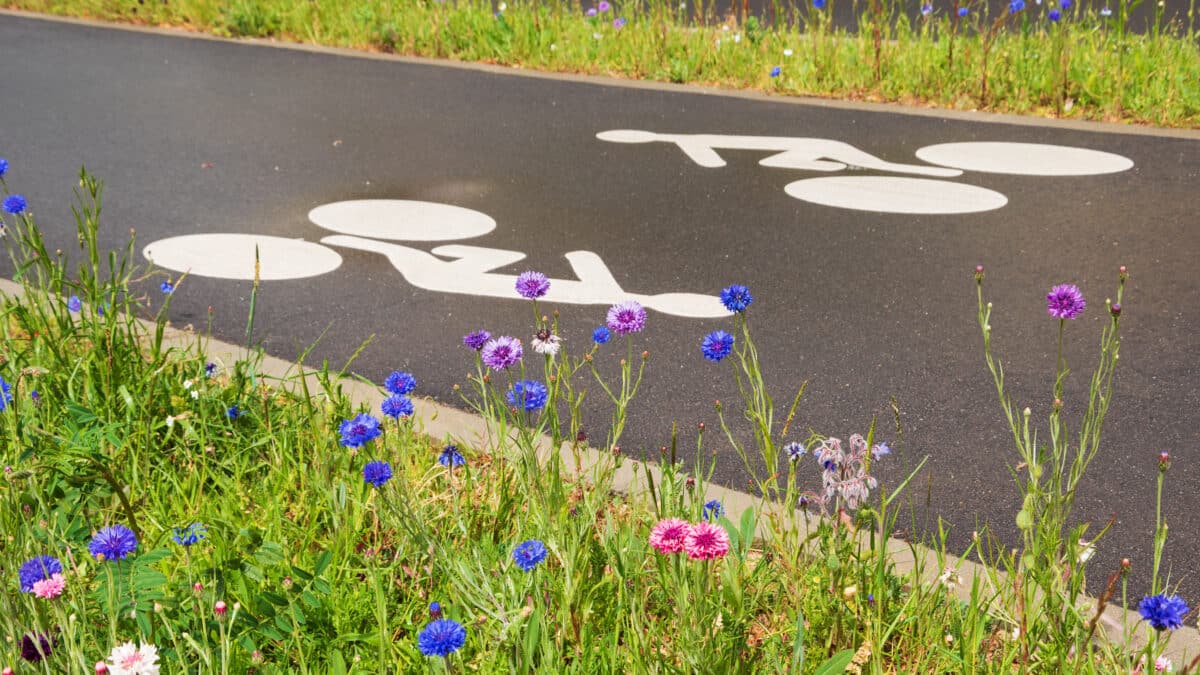 Piste cyclable bordée de fleurs sauvages, respectueuse de l'environnement dans une ville végétalisée