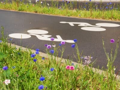 Piste cyclable bordée de fleurs sauvages, respectueuse de l'environnement dans une ville végétalisée