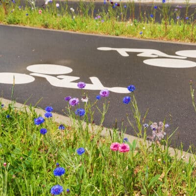 Piste cyclable bordée de fleurs sauvages, respectueuse de l'environnement dans une ville végétalisée