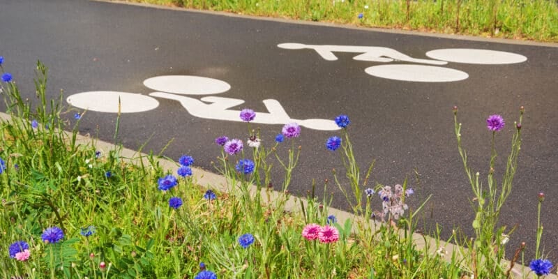 Piste cyclable bordée de fleurs sauvages, respectueuse de l'environnement dans une ville végétalisée