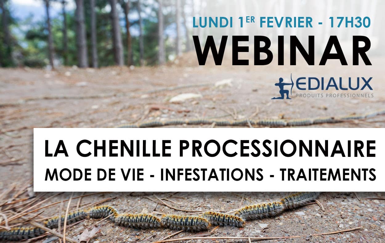 webinar chenilles processionnaires Edialux